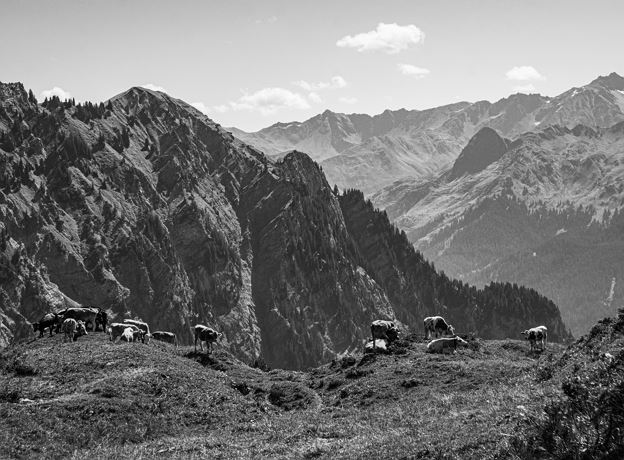 So klingen unsere Alpen - Alpe Heuberg
